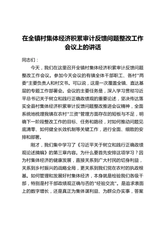 在全镇村集体经济积累审计反馈问题整改工作会议上的讲话