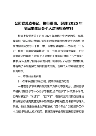 公司党总支书记、执行董事、经理2025年度民主生活会个人对照检查材料