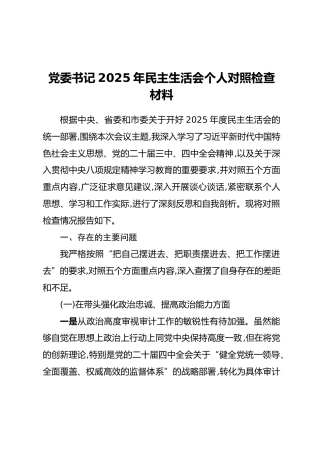 党委书记2025年民主生活会个人对照检查材料