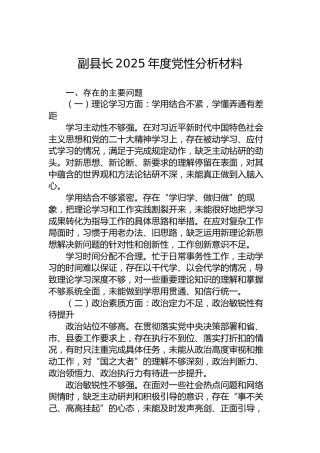 副县长2025年度党性分析材料
