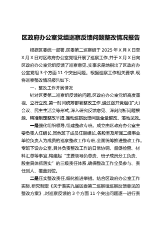 区政府办公室党组巡察反馈问题整改情况报告