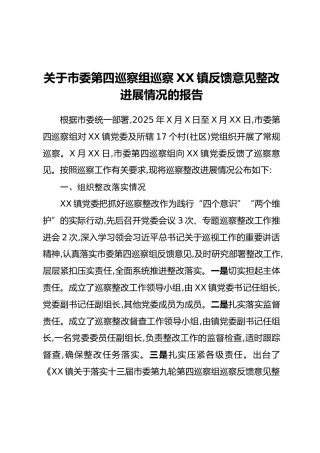 关于市委第四巡察组巡察XX镇反馈意见整改进展情况的报告