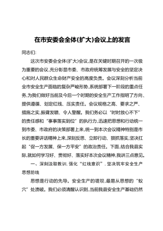 在市安委会全体(扩大)会议上的发言