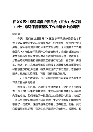 在XX区生态环境保护委员会（扩大）会议暨中央生态环保督察整改工作推进会上的讲话