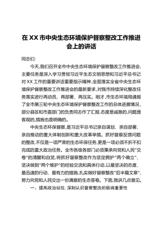 在XX市中央生态环境保护督察整改工作推进会上的讲话