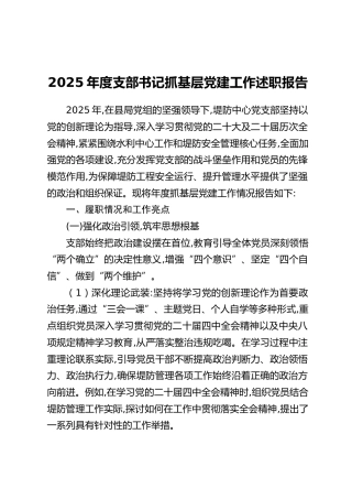 2025年度支部书记抓基层党建工作述职报告