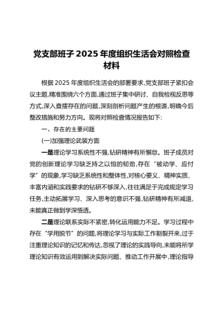 党支部班子2025年度组织生活会对照检查材料
