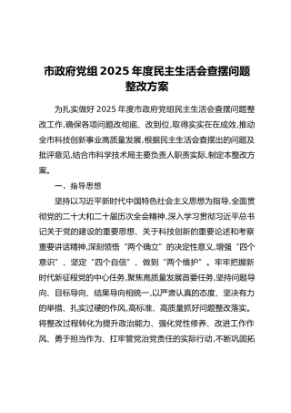 市政府党组2025年度民主生活会查摆问题整改方案（2）