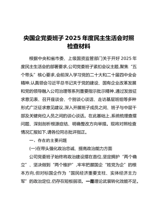 央国企党委班子2025年度民主生活会对照检查材料
