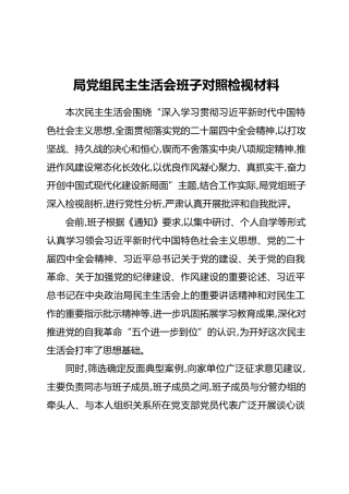 局党组民主生活会班子对照检视材料