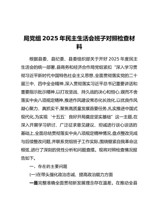 局党组2025年民主生活会班子对照检查材料