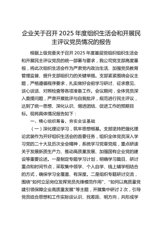 企业关于召开2025年度组织生活会和开展民主评议党员情况的报告