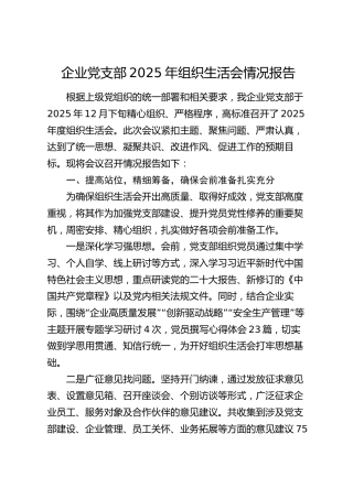 企业党支部2025年组织生活会情况报告