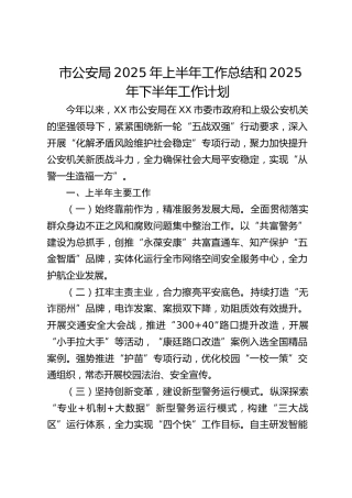 市公安局2025年上半年工作总结和2025年下半年工作计划