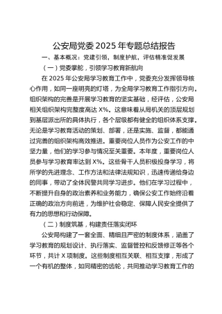 公安局党委2025年专题总结报告