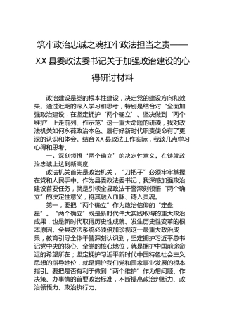 筑牢政治忠诚之魂扛牢政法担当之责——XX县委政法委书记关于加强政治建设的心得研讨材料