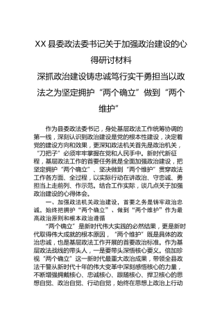 XX县委政法委书记关于加强政治建设的心得研讨材料深抓政治建设铸忠诚笃行实干勇担当以政法之为坚定拥护“两个确立”做到“两个维护”