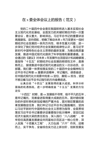 在x委全体会议上的报告（范文）