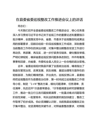 在县委省委巡视整改工作推进会议上的讲话