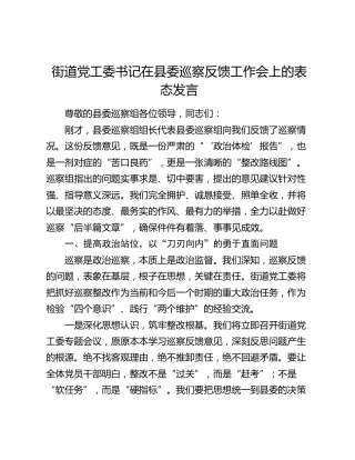 街道党工委书记在县委巡察反馈工作会上的表态发言