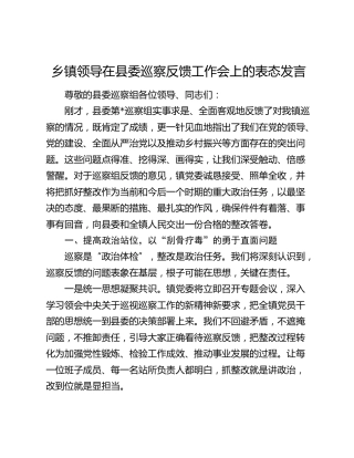 乡镇领导在县委巡察反馈工作会上的表态发言