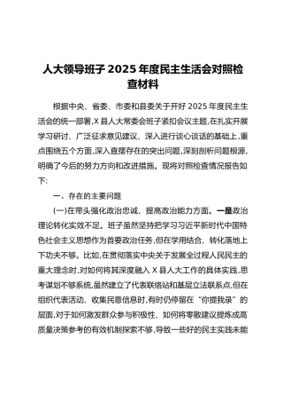 人大领导班子2025年度民主生活会对照检查材料