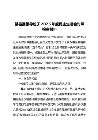 某县委领导班子2025年度民主生活会对照检查材料