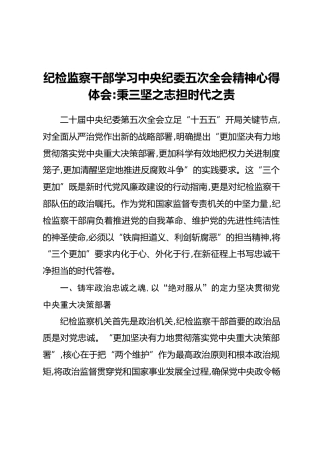纪检监察干部学习中央纪委五次全会精神心得体会_秉三坚之志担时代之责