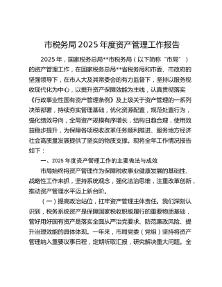 市税务局2025年度资产管理工作报告