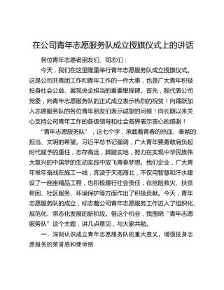 在公司青年志愿服务队成立授旗仪式上的讲话