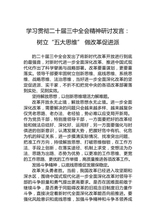 学习贯彻二十届三中全会精神研讨发言：树立“五大思维”做改革促进派