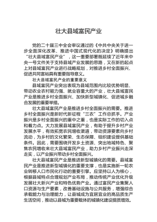 壮大县域富民产业