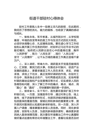 街道干部驻村心得体会