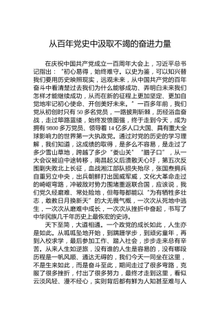 从百年党史中汲取不竭的奋进力量