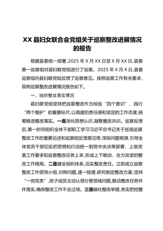 XX县妇女联合会党组关于巡察整改进展情况的报告