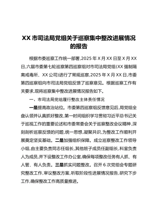 XX市司法局党组关于巡察集中整改进展情况的报告