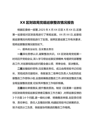 XX区财政局党组巡察整改情况报告