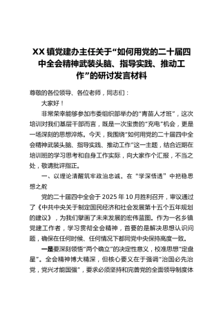 XX镇党建办主任关于“如何用党的二十届四中全会精神武装头脑、指导实践、推动工作”的研讨发言材料
