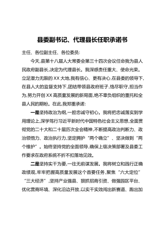 县委副书记、代理县长任职承诺书