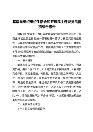 基层党组织组织生活会和开展民主评议党员情况综合报告