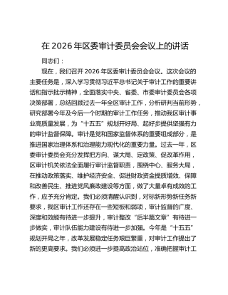 在2026年区委审计委员会会议上的讲话