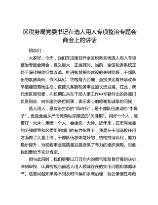 区税务局党委书记在选人用人专项整治专题会商会上的讲话