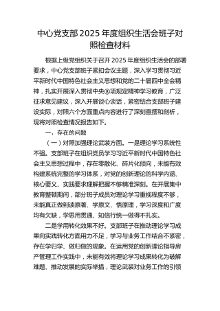 中心党支部2025年度组织生活会班子对照检查材料