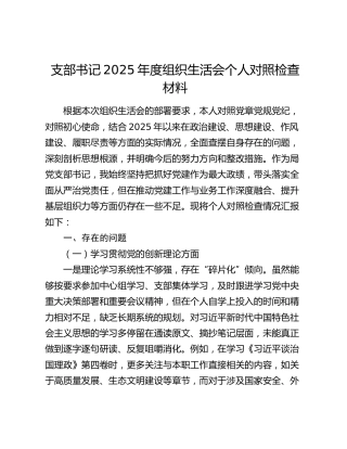 支部书记2025年度组织生活会个人对照检查材料