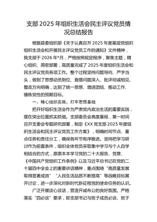 支部2025年组织生活会民主评议党员情况总结报告