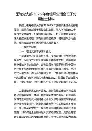 医院党支部2025年度组织生活会班子对照检查材料
