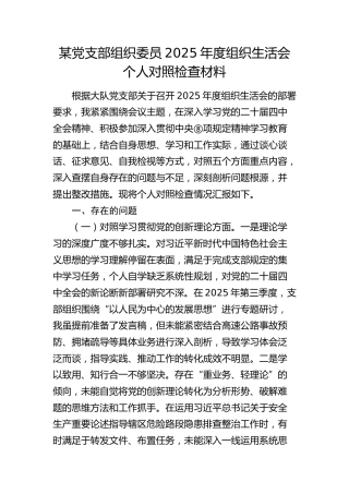 某党支部组织委员2025年度组织生活会个人对照检查材料