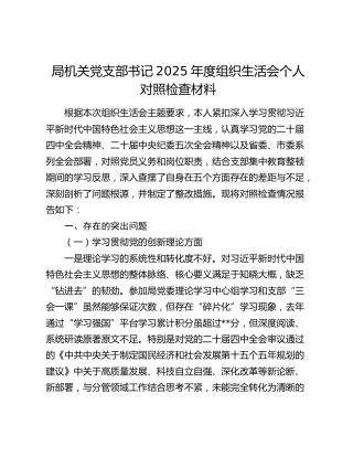 局机关党支部书记2025年度组织生活会个人对照检查材料
