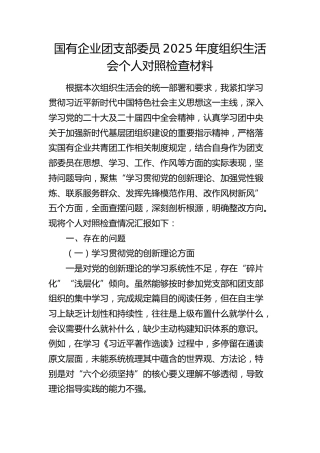 国有企业团支部委员2025年度组织生活会个人对照检查材料