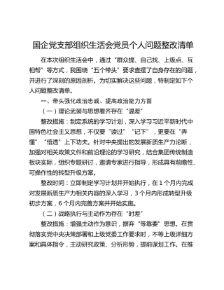 国企党支部组织生活会党员个人问题整改清单